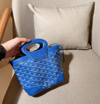 Goyard mini handbag