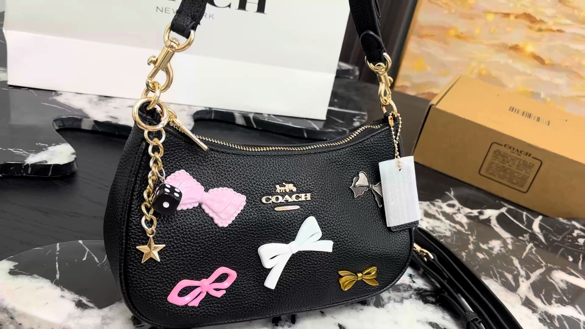 Coach Teri Crossbody Bag