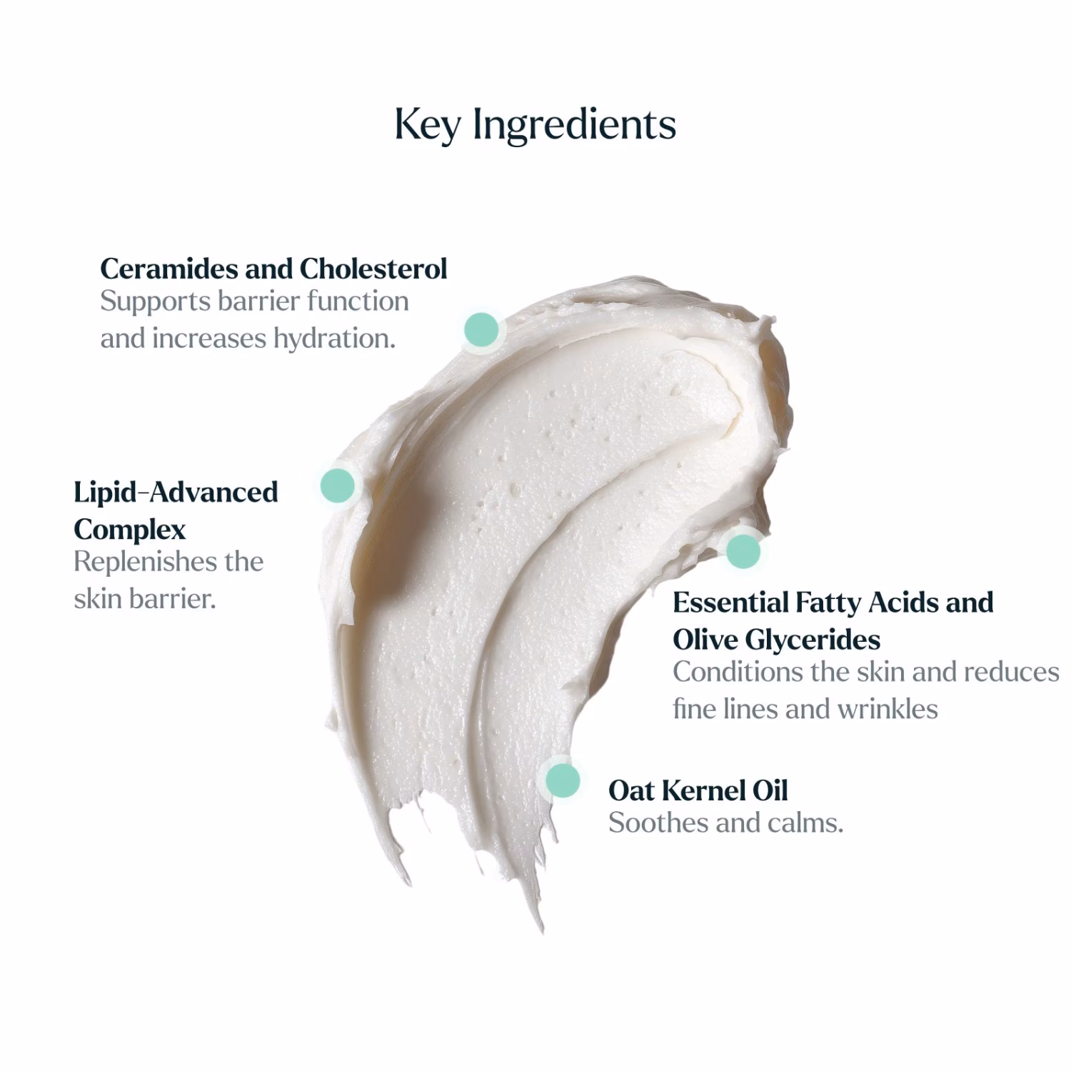 The Rich Moisturiser | Reichhaltige Feuchtigkeitscreme