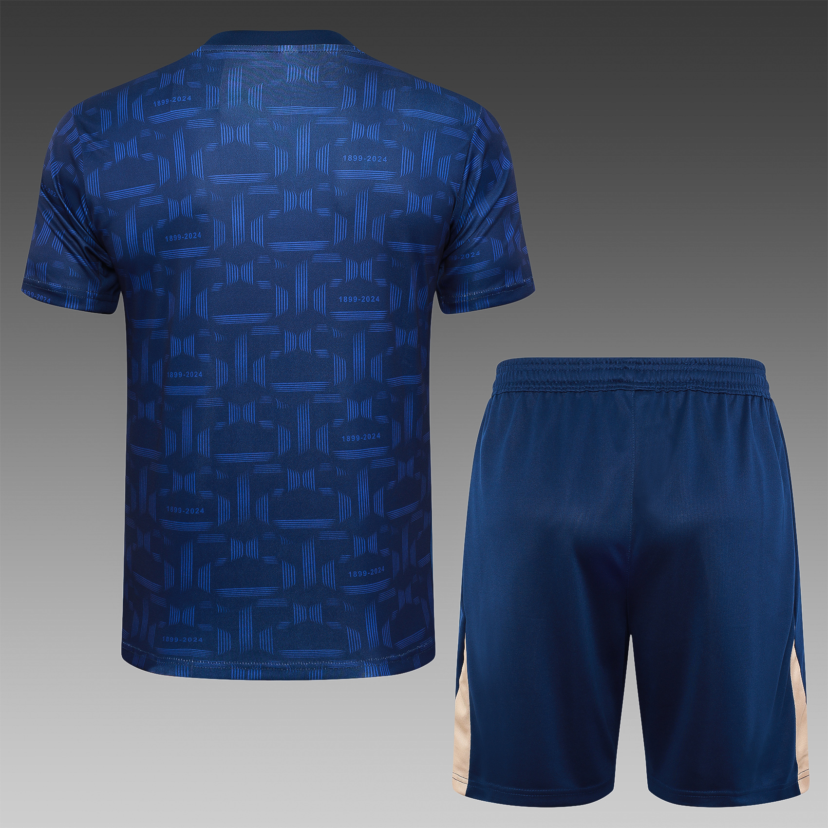 2024/2025 Barcelona Royal Blue Adult Short Sleeve Training Jersey (Adult Kit)