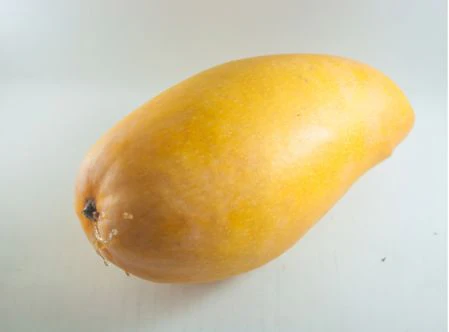 Nam Dok Mai Mango – Thailand's sweetest mango in premium quality