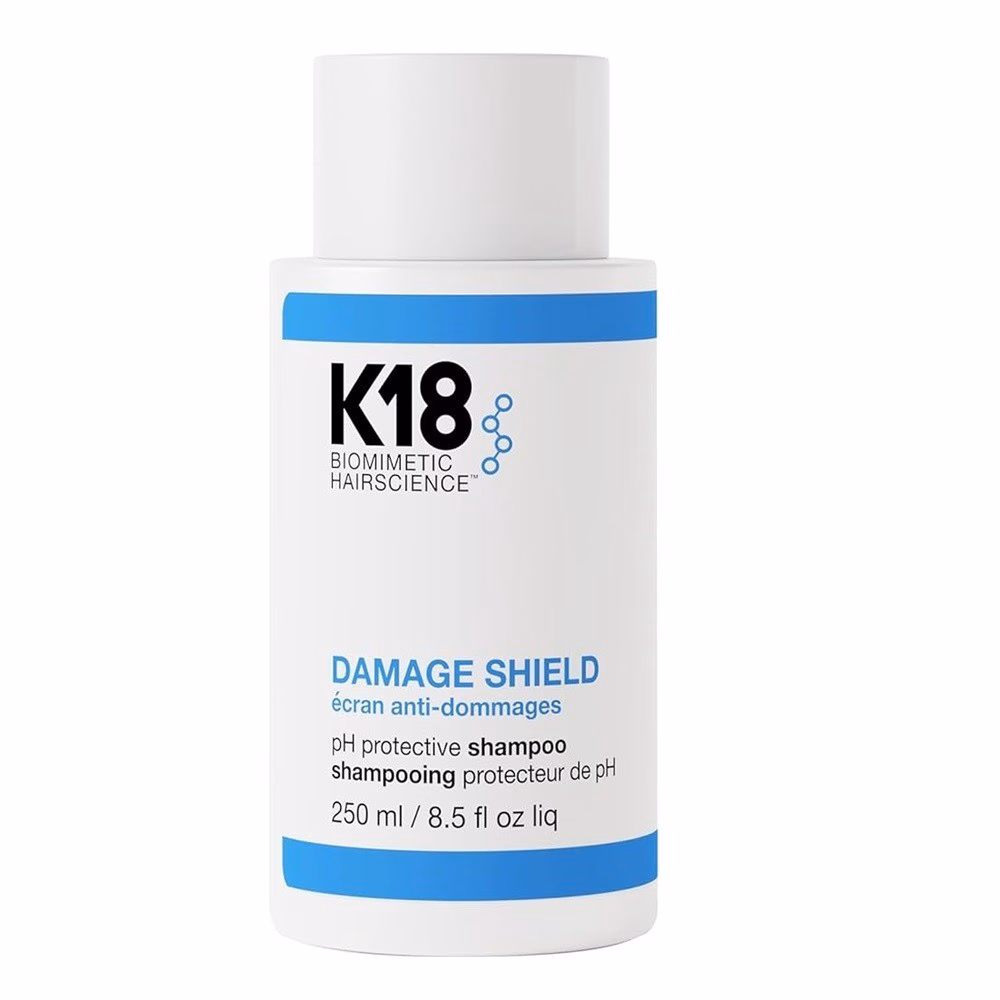 Damage Repair