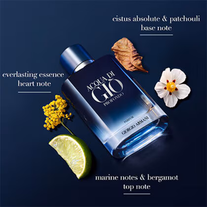 Armani Acqua di Giò Profondo Parfum Parfum Spray 100ML