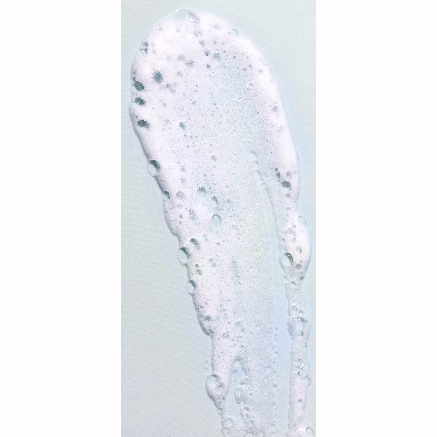 Aloe Vera Hair Mousse