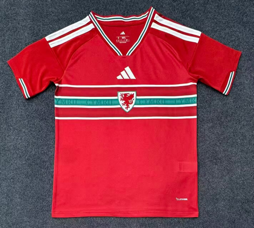 Fan version 2026 Wales home
