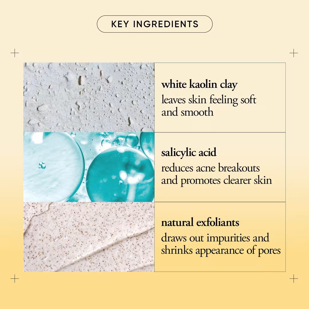 Philosophy  Purity Made Simple Pore Extractor Clay Mask