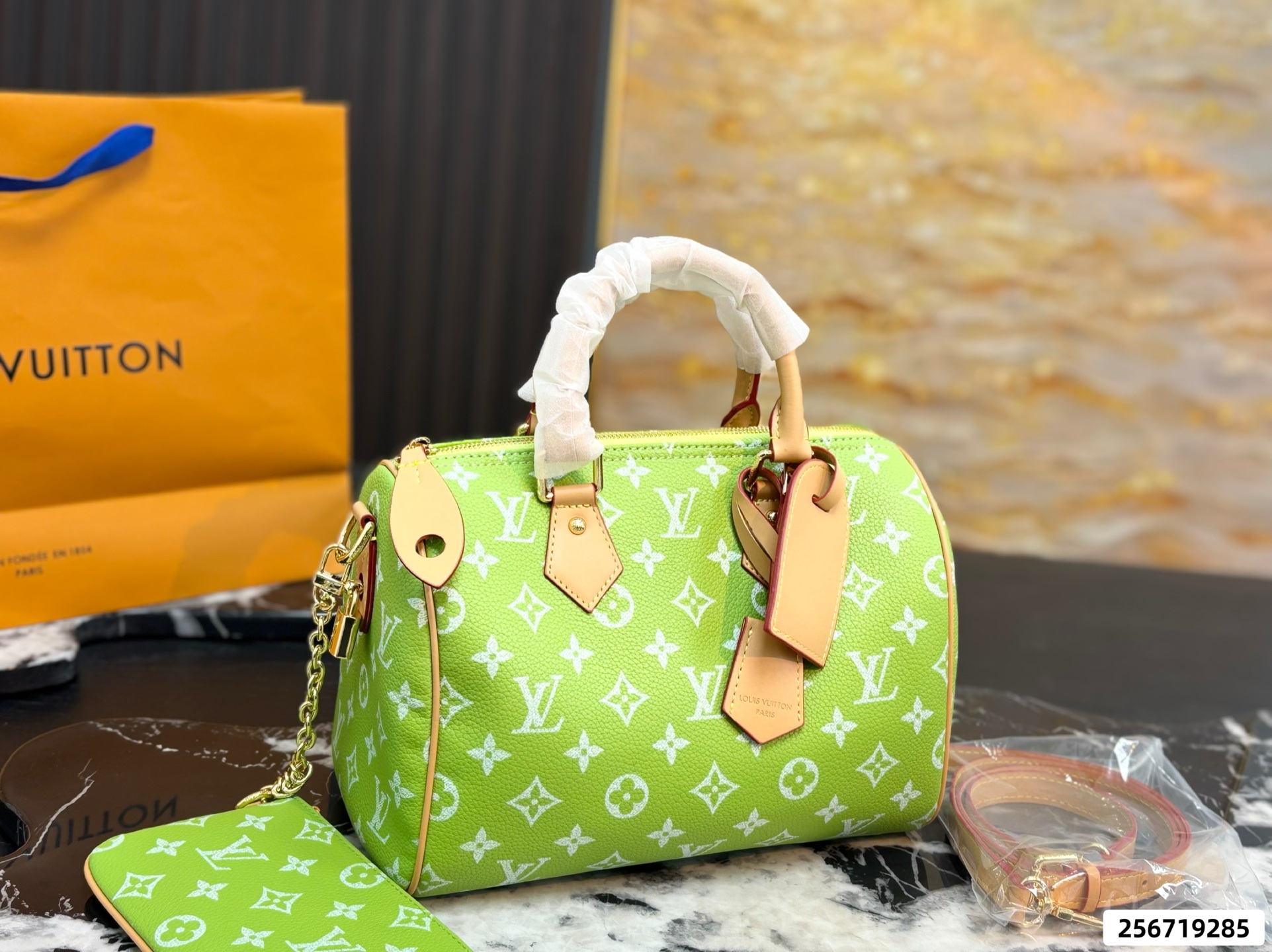 LV Speedy Pillow Bag