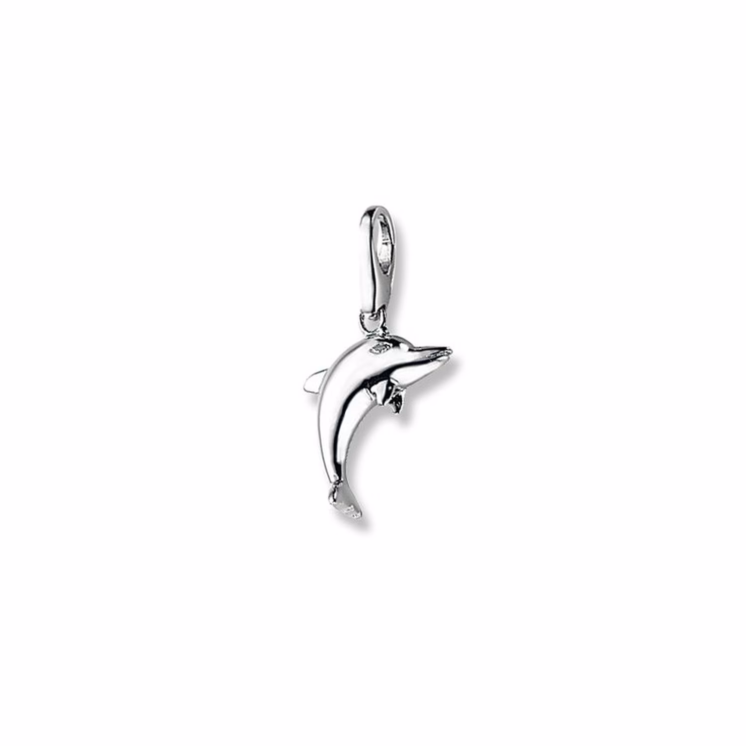 Charm Delphin