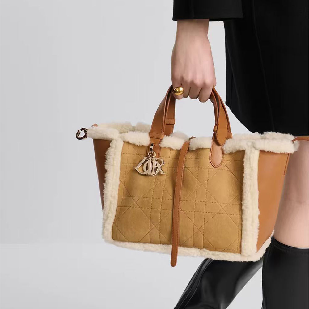 Dior Toujours Bag