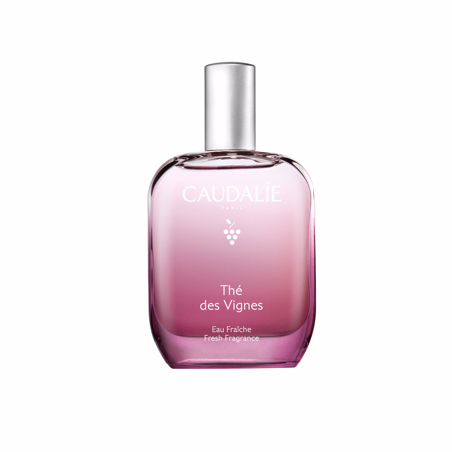THÉ DES VIGNES