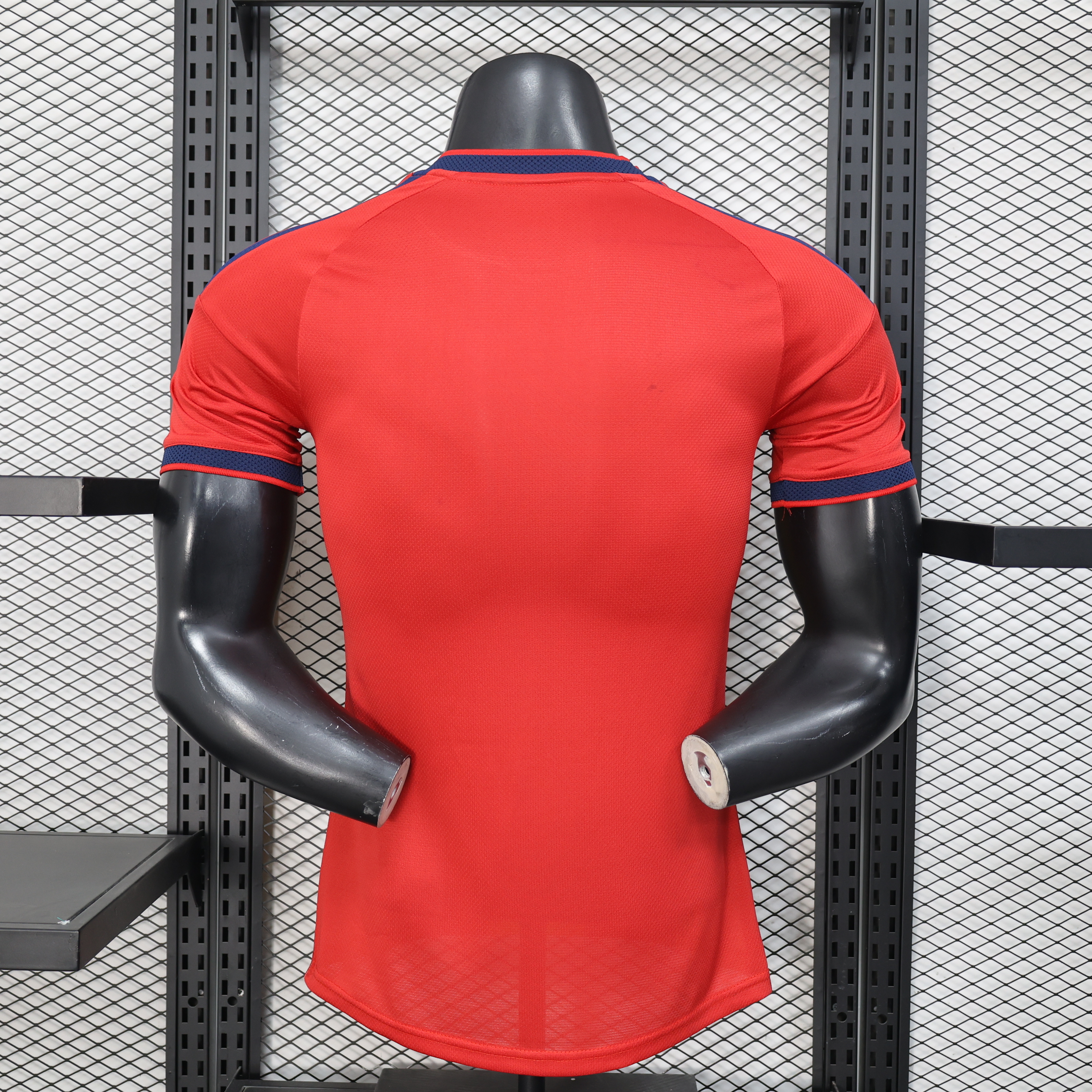 2026 Search Special Edition Player Version