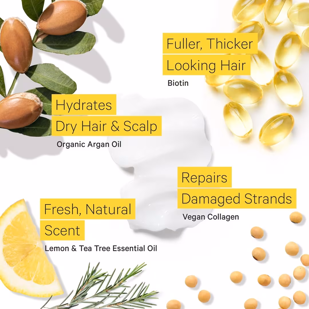 Tree To Tub  Soapberry Volumizing Conditioner for Dry, Damaged & Fine Hair