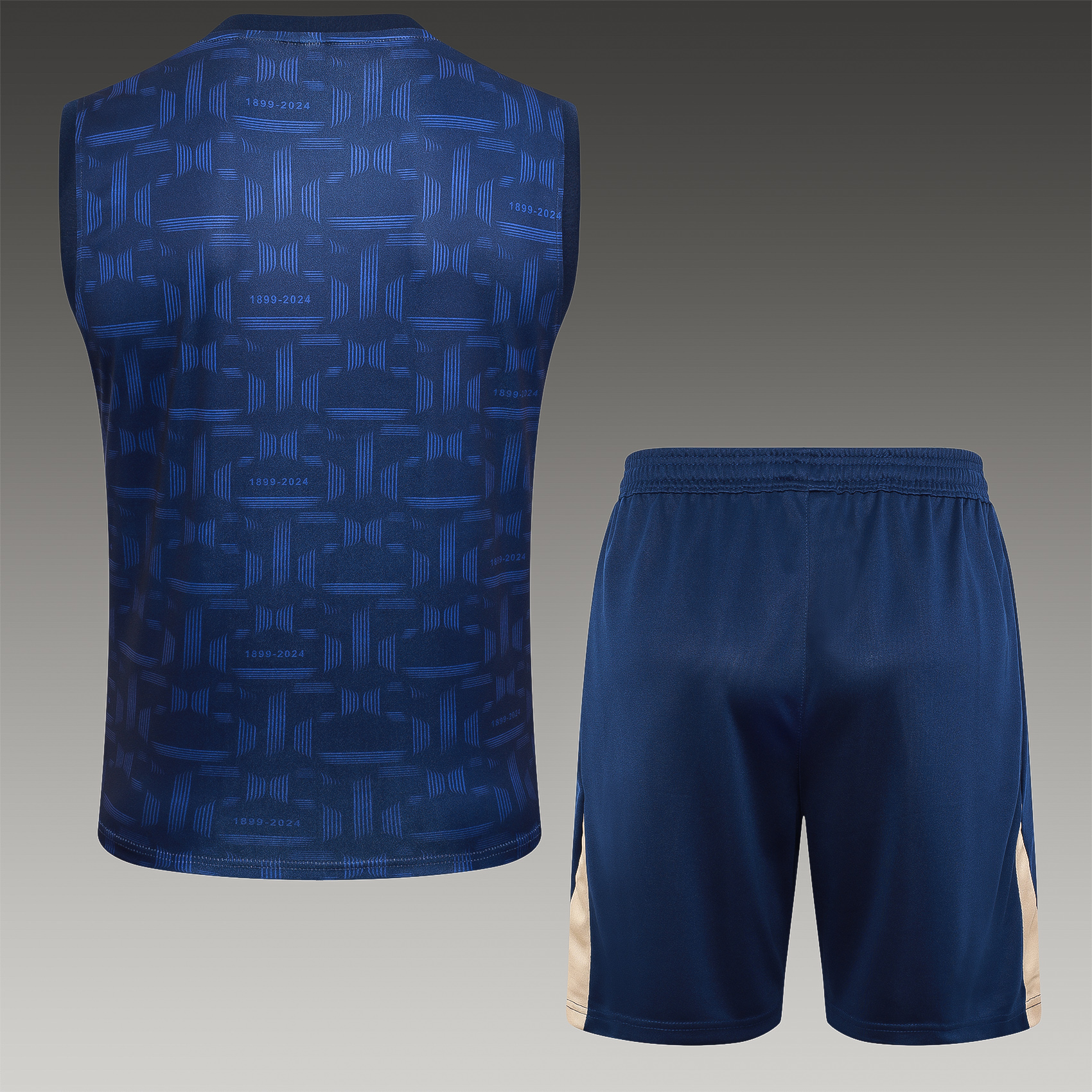 2024/2025 Barcelona Royal Blue Training Vest (adult kit)