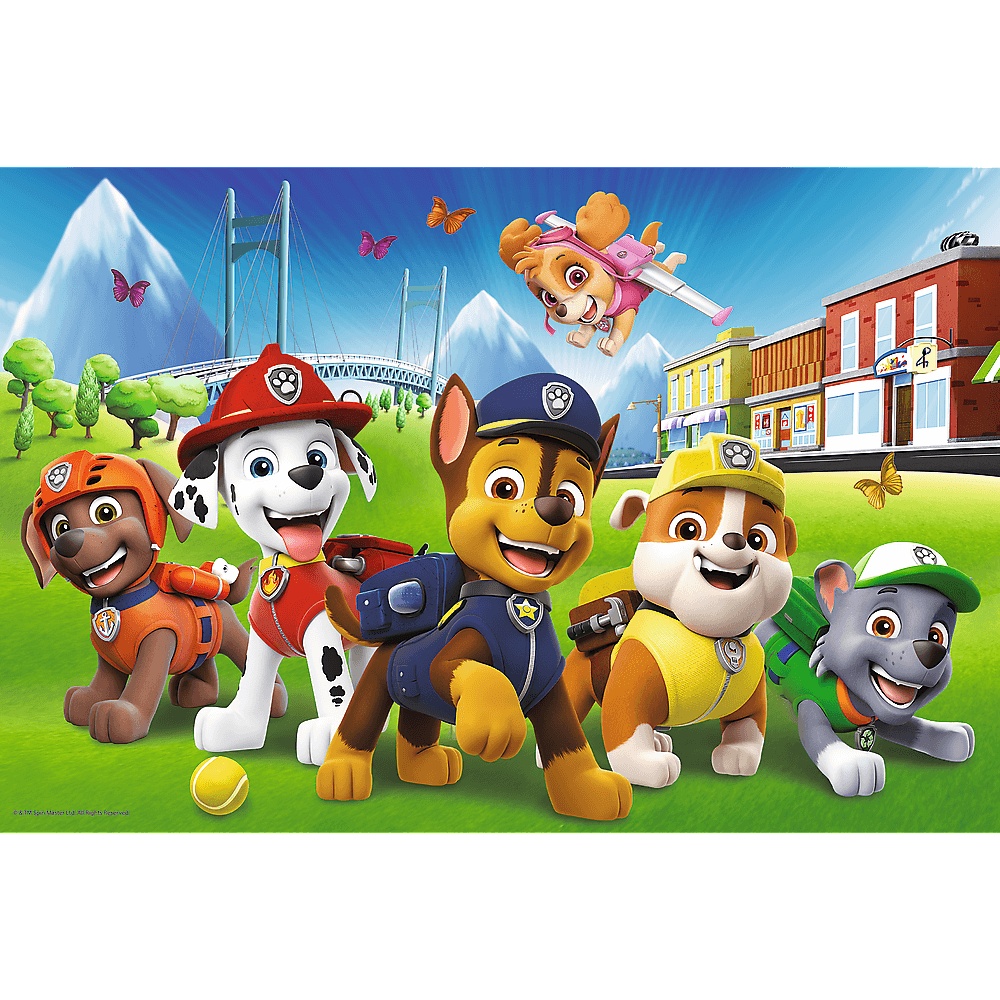 Paw Patrol Na Polanie