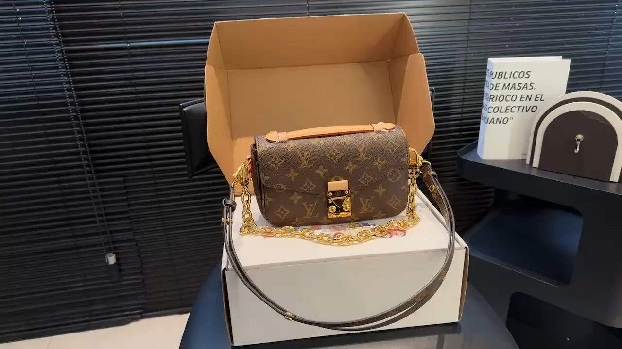 LV Bag