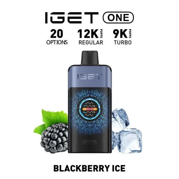 IGET ONE Vape 12000 Puffs Blackberry Ice