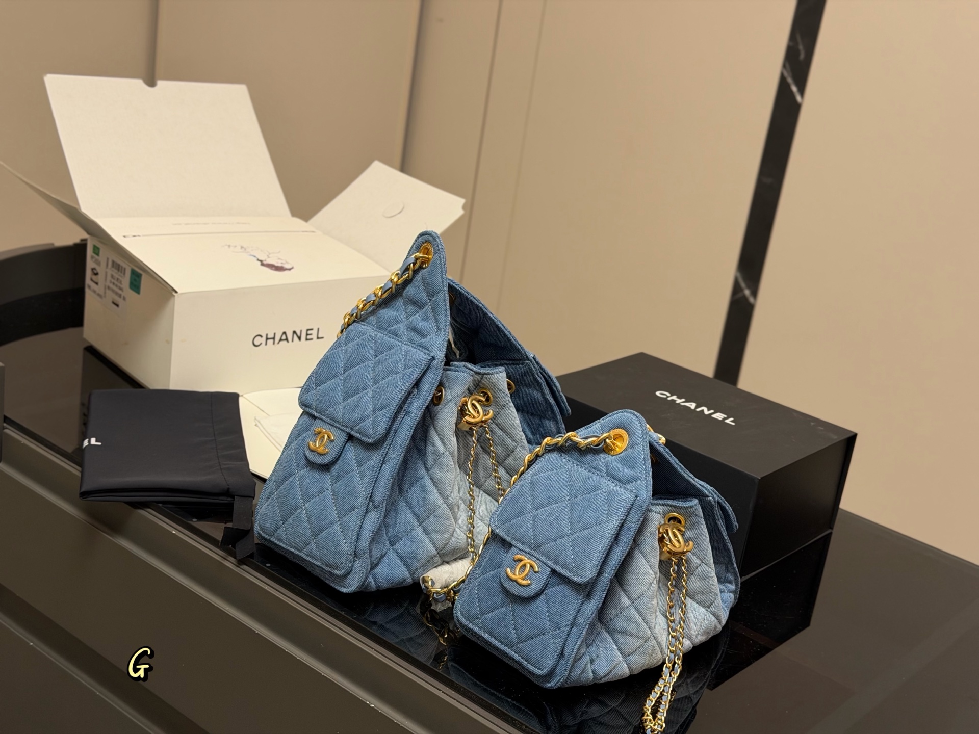 Chanel 25 Mini Hobo Bag