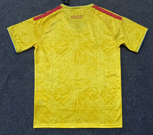 Fan version 2026 Colombia Home