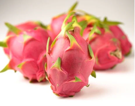 White Dragon Fruit – Exotic pitaya with a mild, refreshing aroma