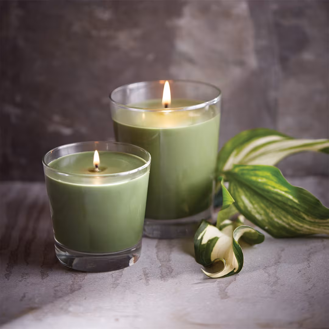 Root Candles  Legacy Collection Luxury Scented Candle - Hosta