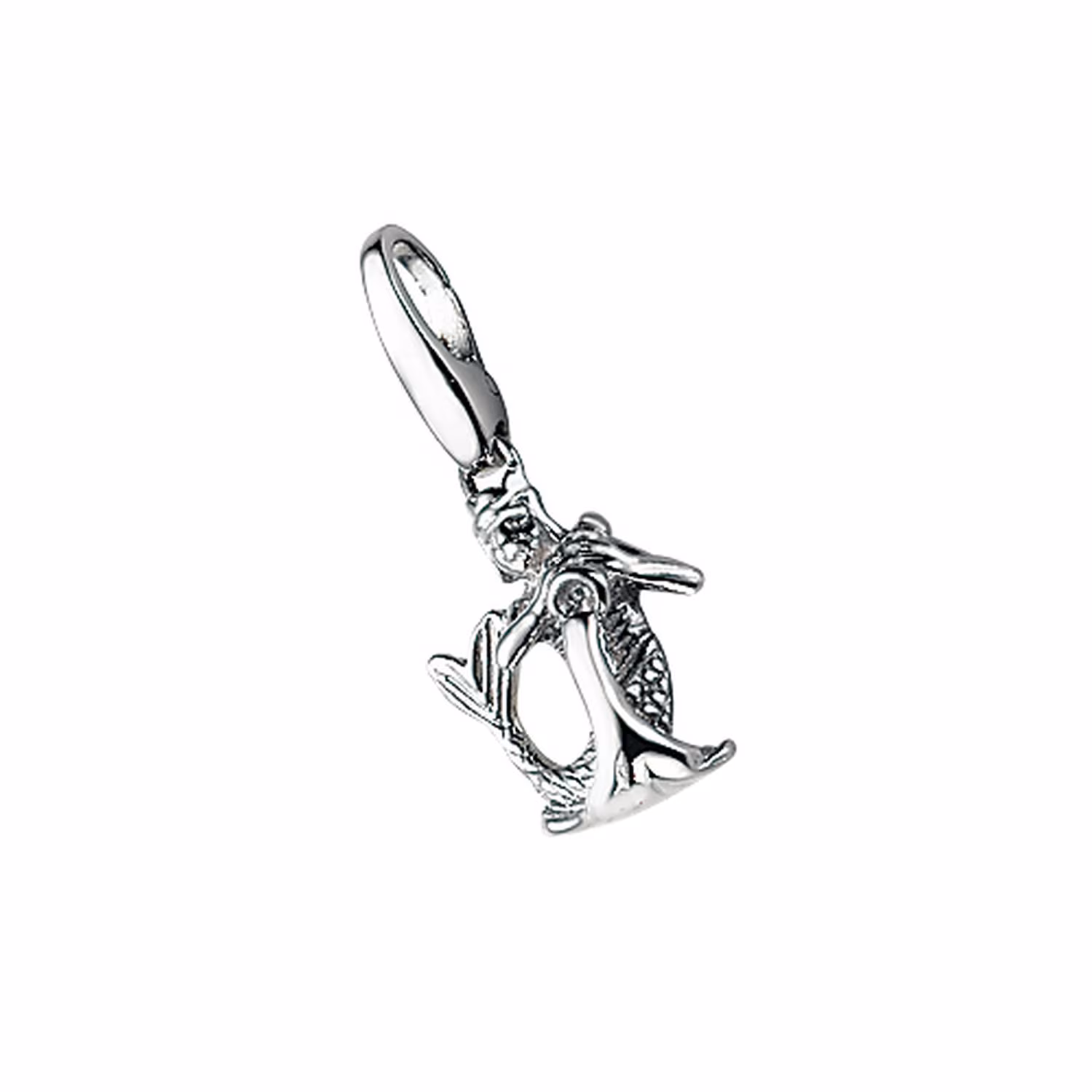 Charm Sternzeichen Wassermann, Silber 925