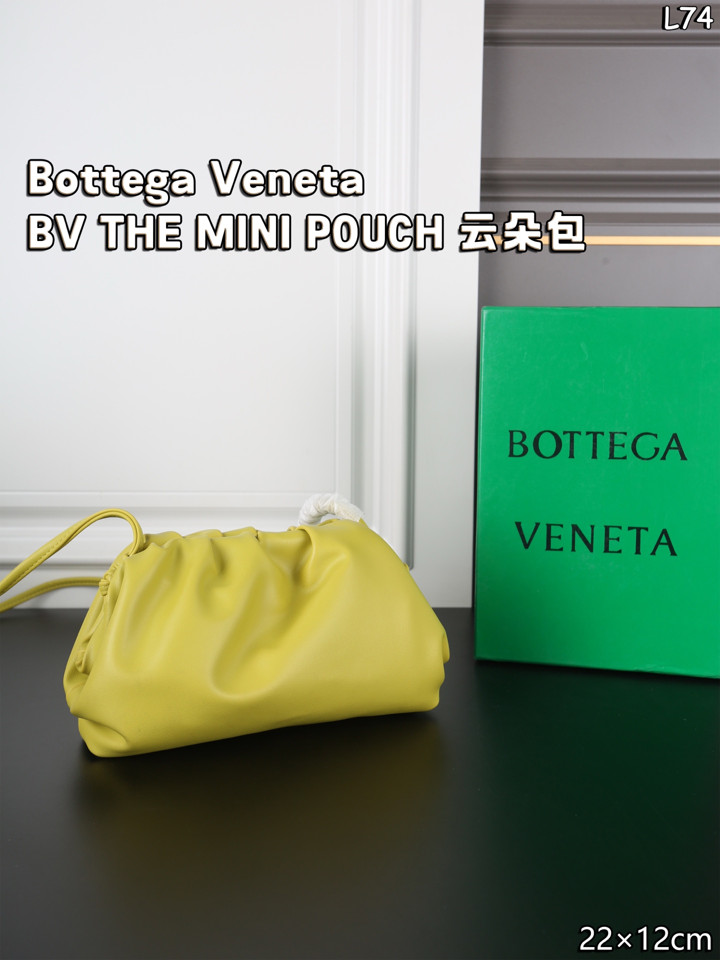 Bottega Veneta BV Intrecciato Mini Pouch