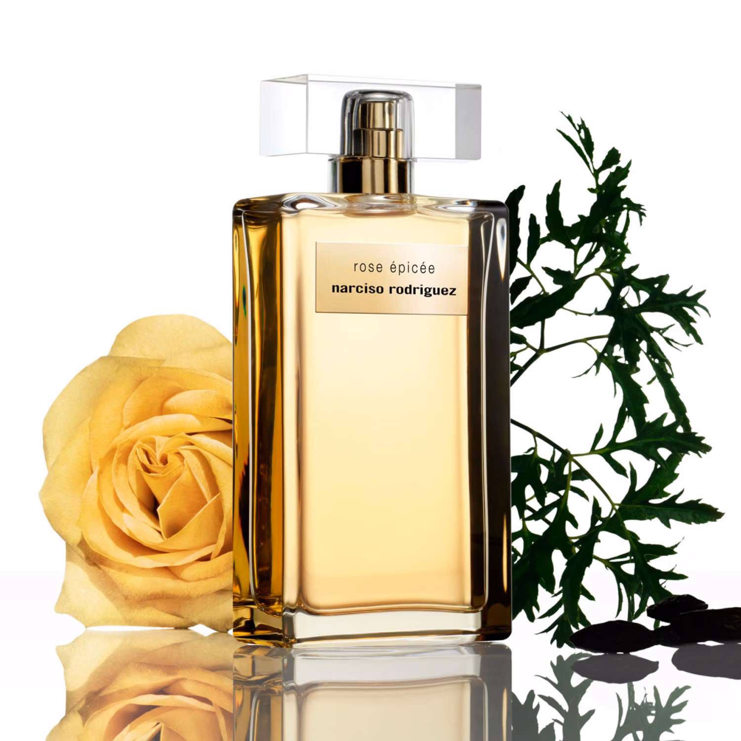 Rose Epicée
