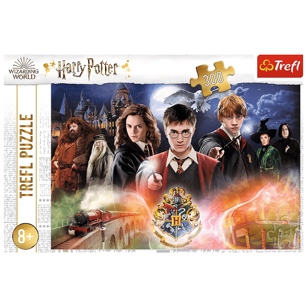 Puzzle Harry Potter 300 El. Tajemniczy Harry Potter