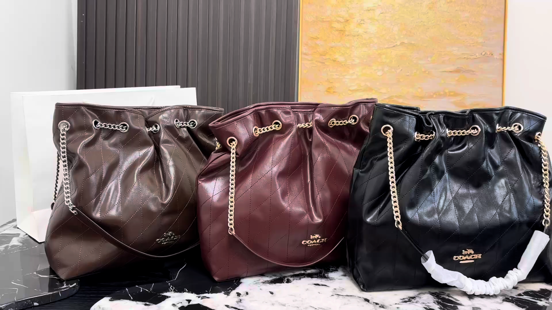 Coach Evelyn Chain Lucky Bag