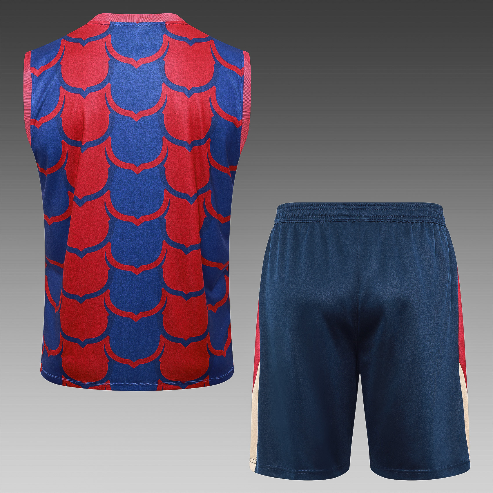 2024/2025 Barcelona red and blue vest training uniform (adult kit)