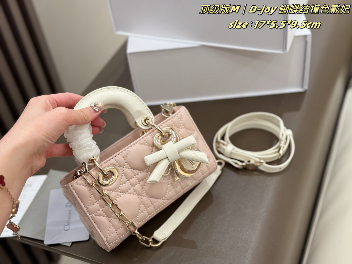 Dior Lady D-Joy Micro Bag