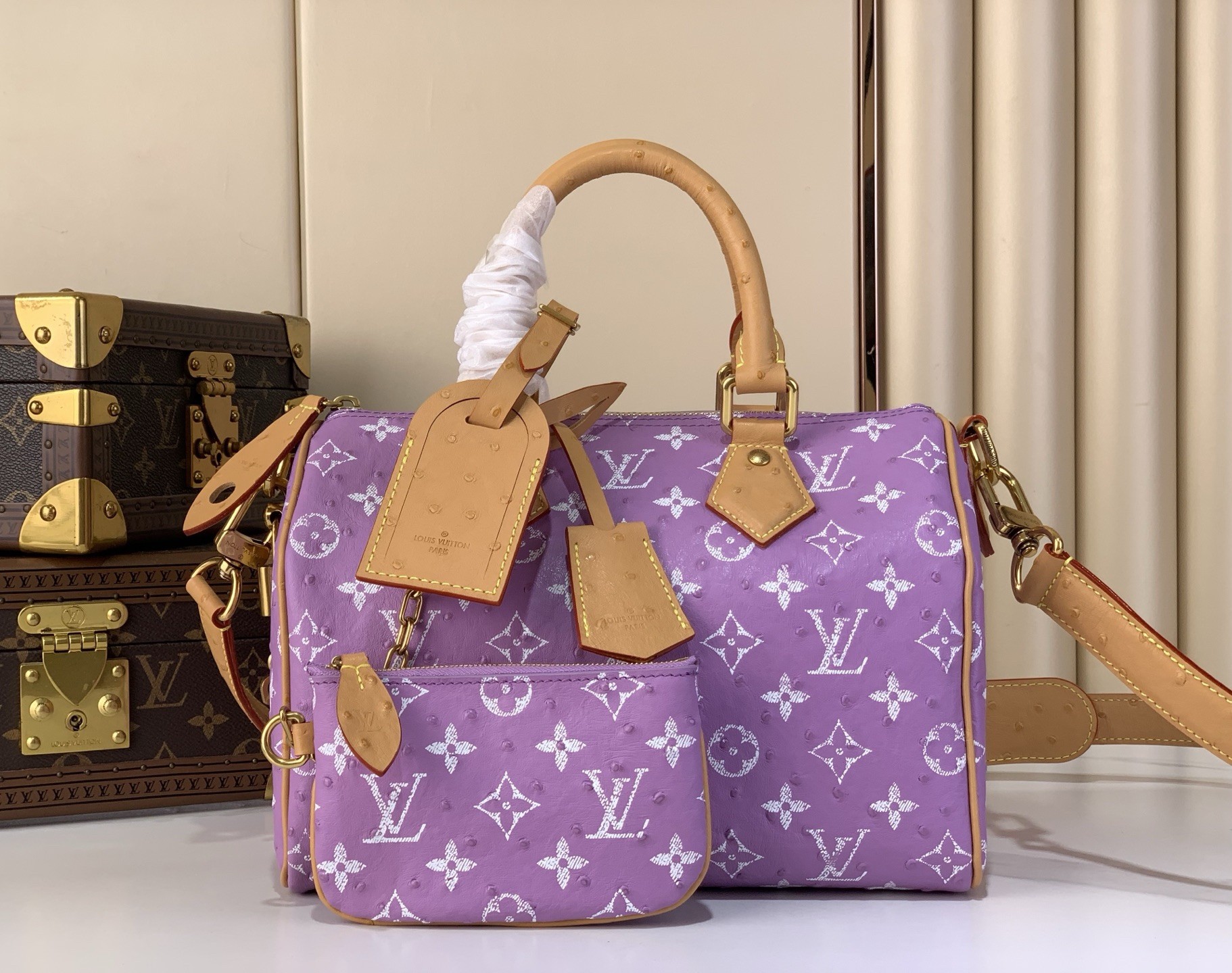 LV Speedy P9 25cm Bag