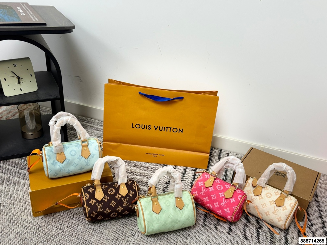 LV Speedy Denim Bag