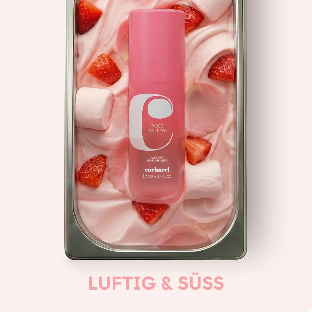 Rose Mallow