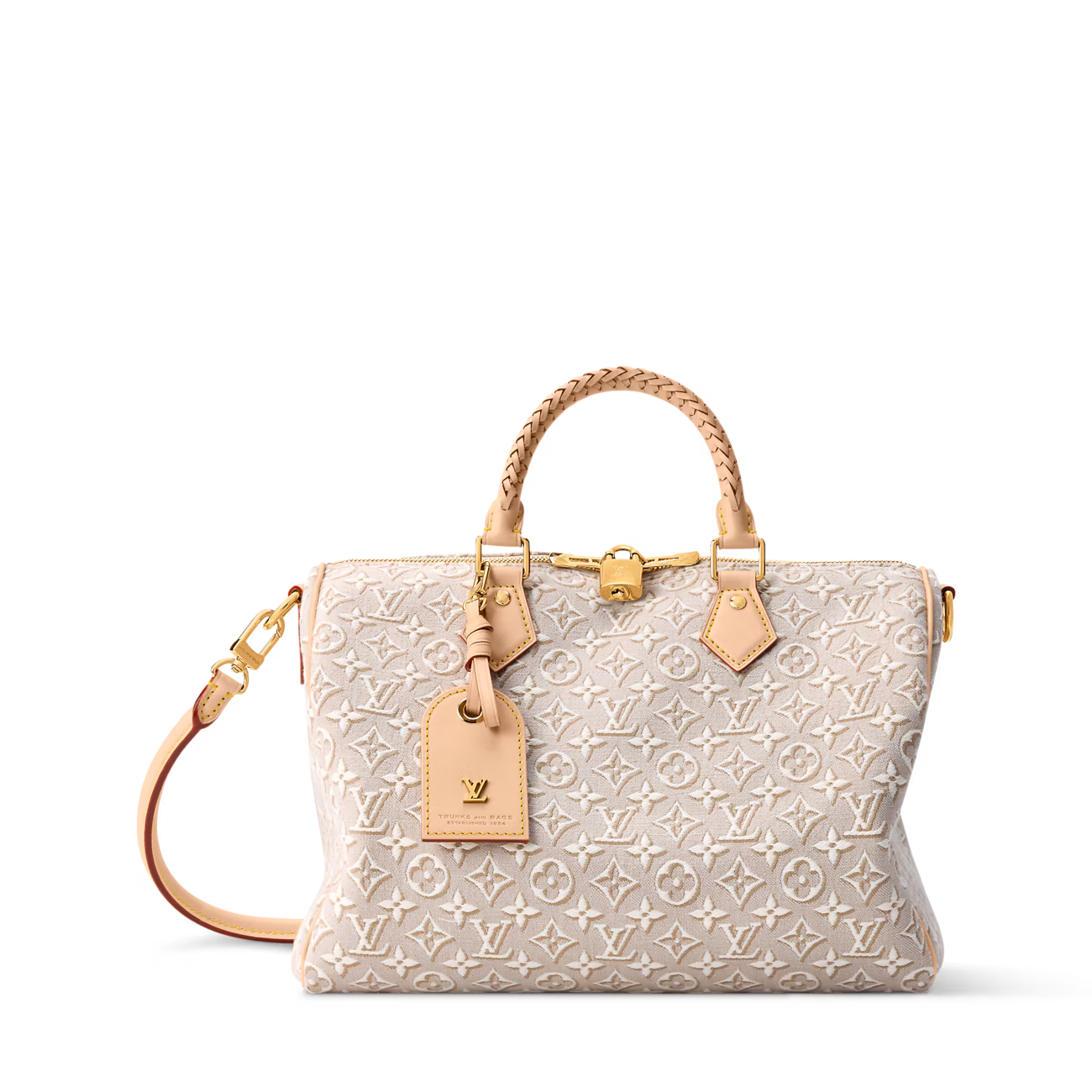 LV Speedy Soft 30 Bag