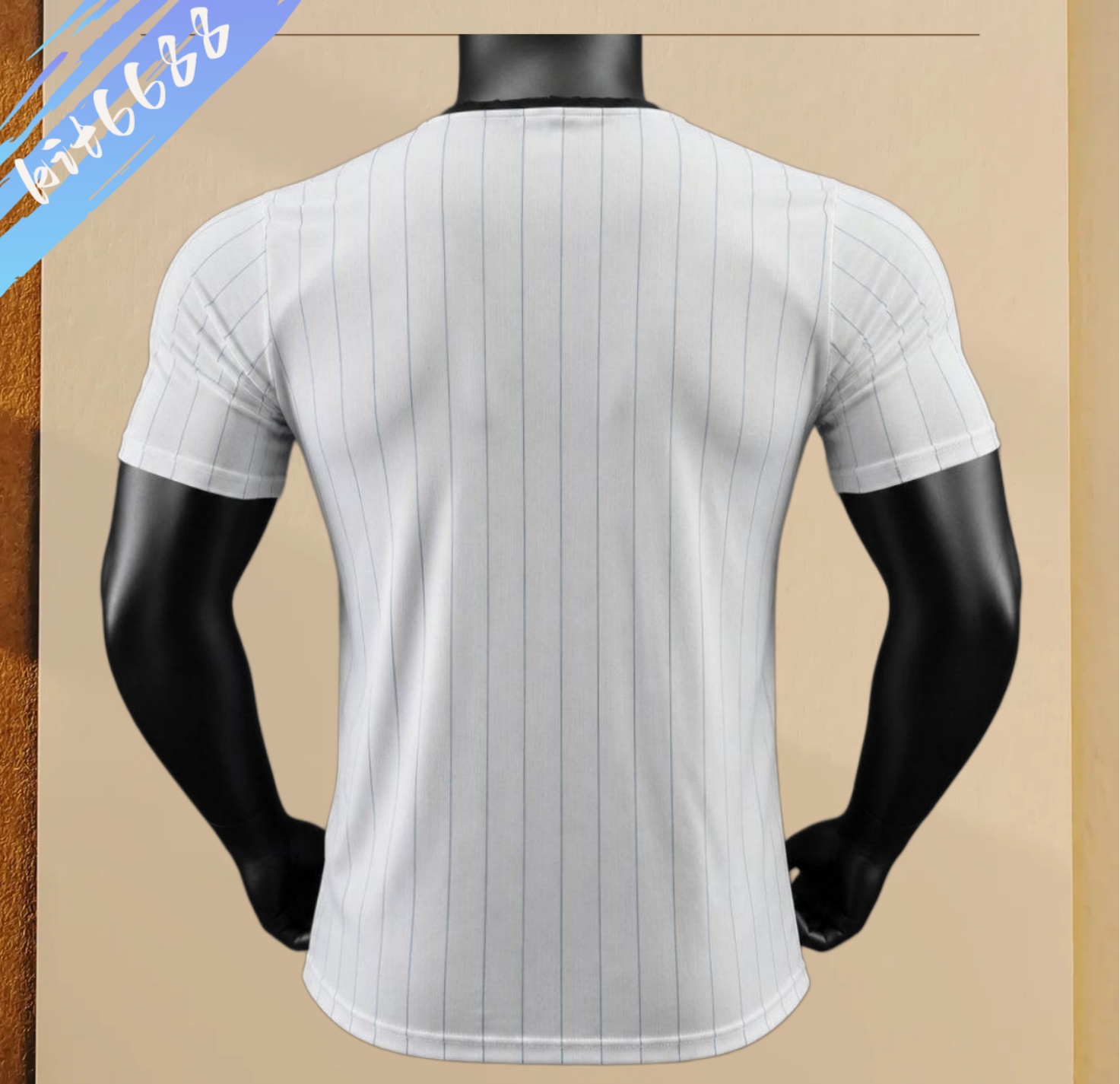 2026 2027 Argentina training suit Football Shirt (Player Edition)