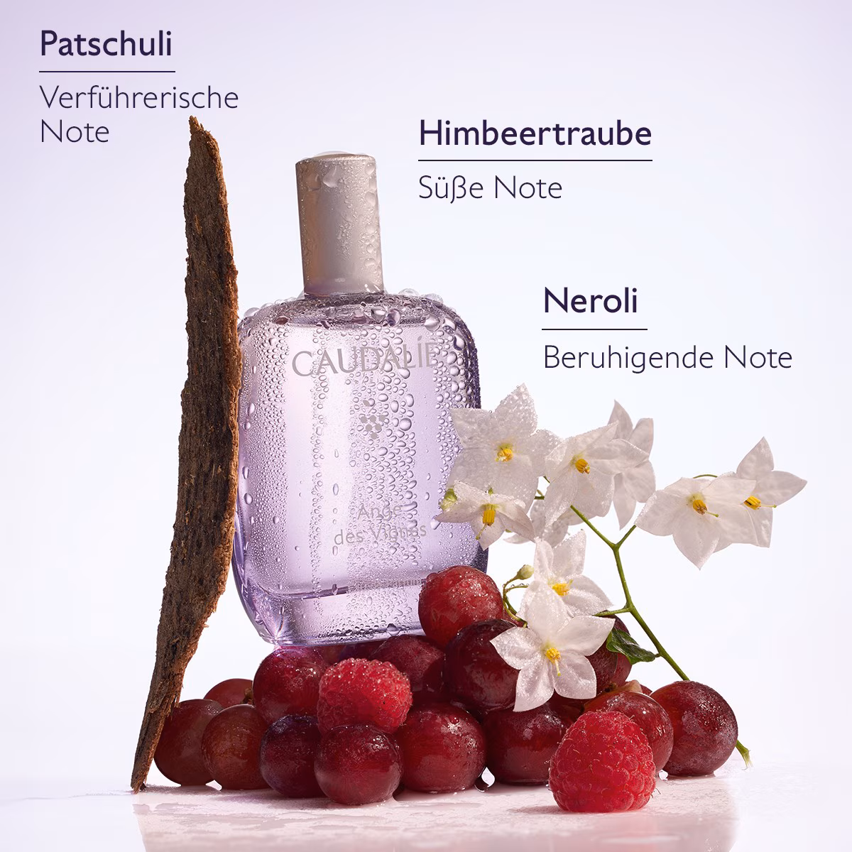 ANGE DES VIGNES EAU DE PARFUM
