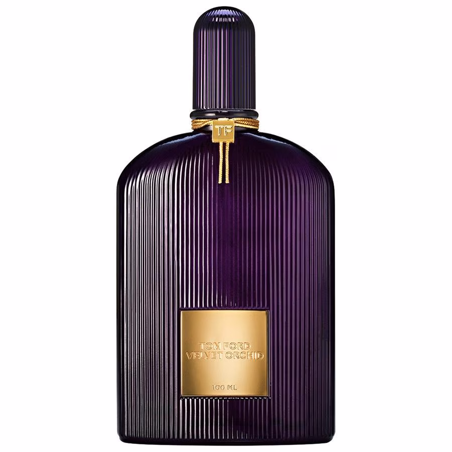 Velvet Orchid
