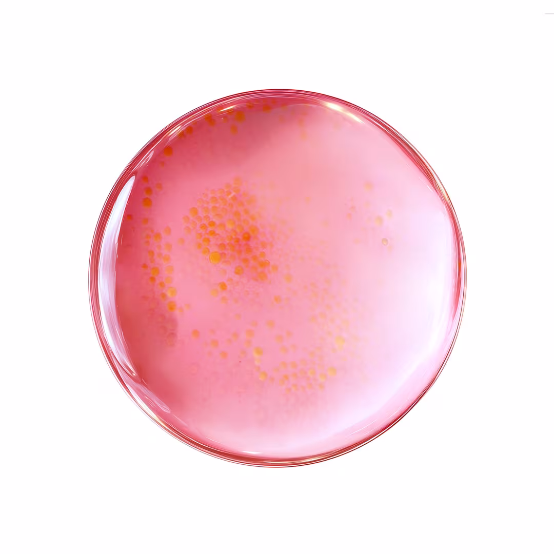 Purito  TXA 6 Niacinamide 10 Retinal Serum