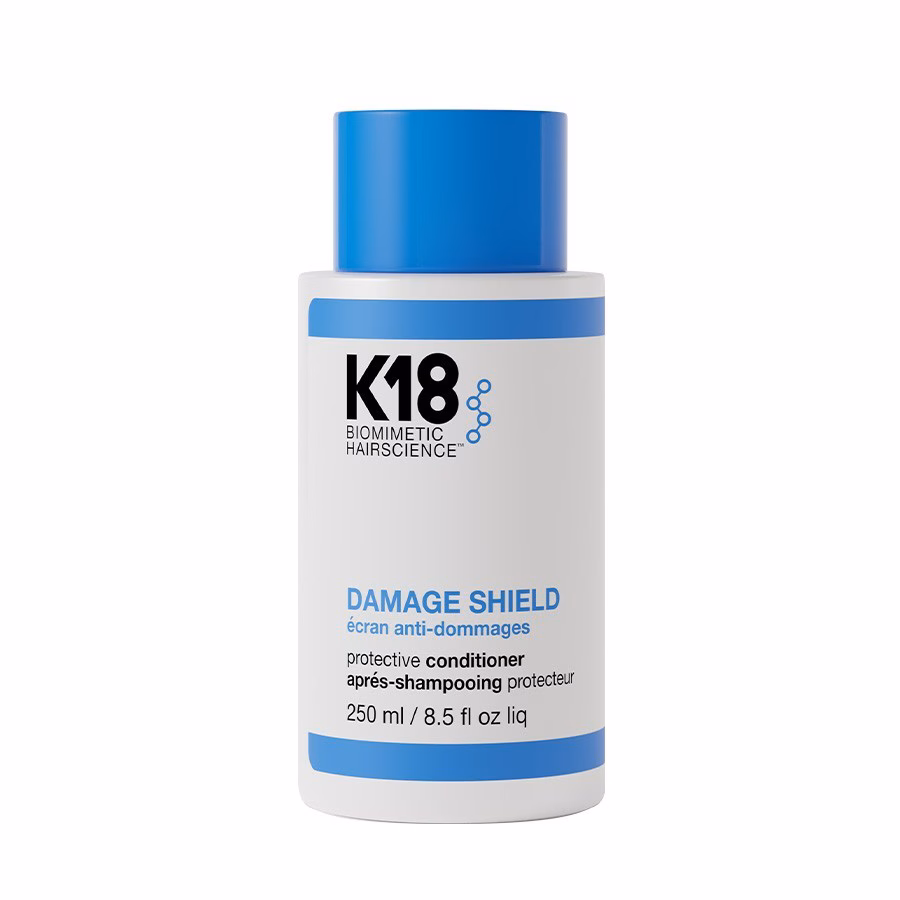 Damage Shield