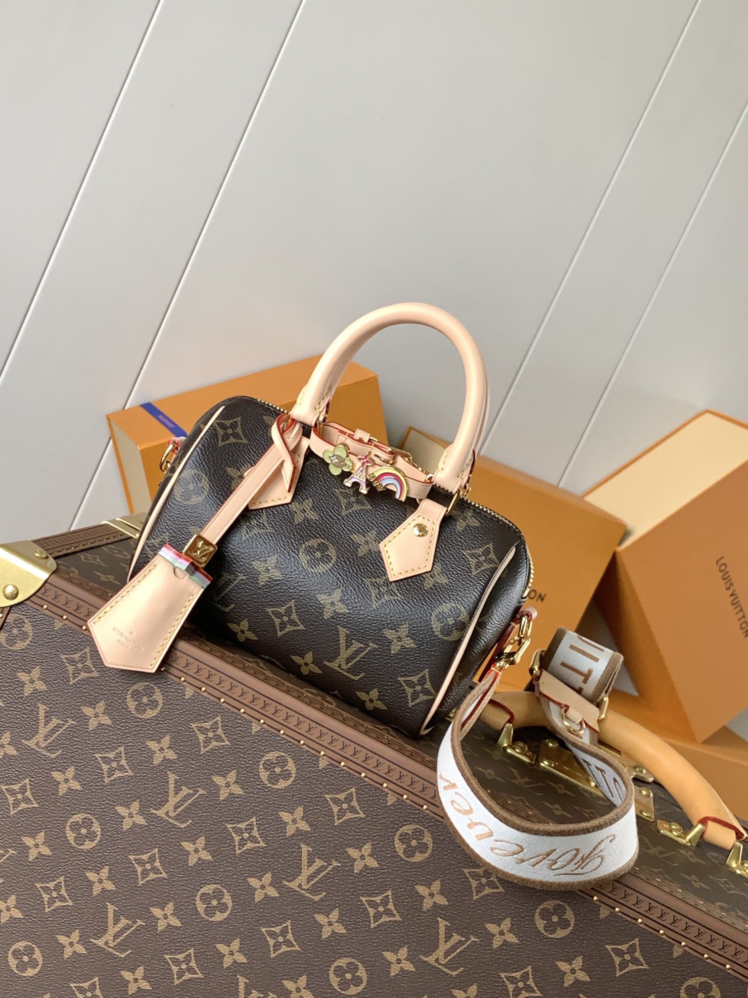 [10A]LV Speedy 18 Bag