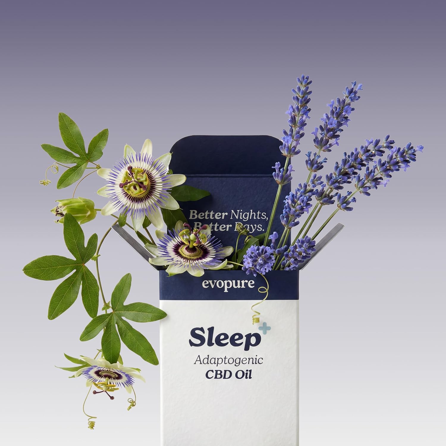leep CBD Oil 1000mg | High Strength | Passionflower & Relax Terpenes | Deep Sleep Support | THC Free | 10ml
