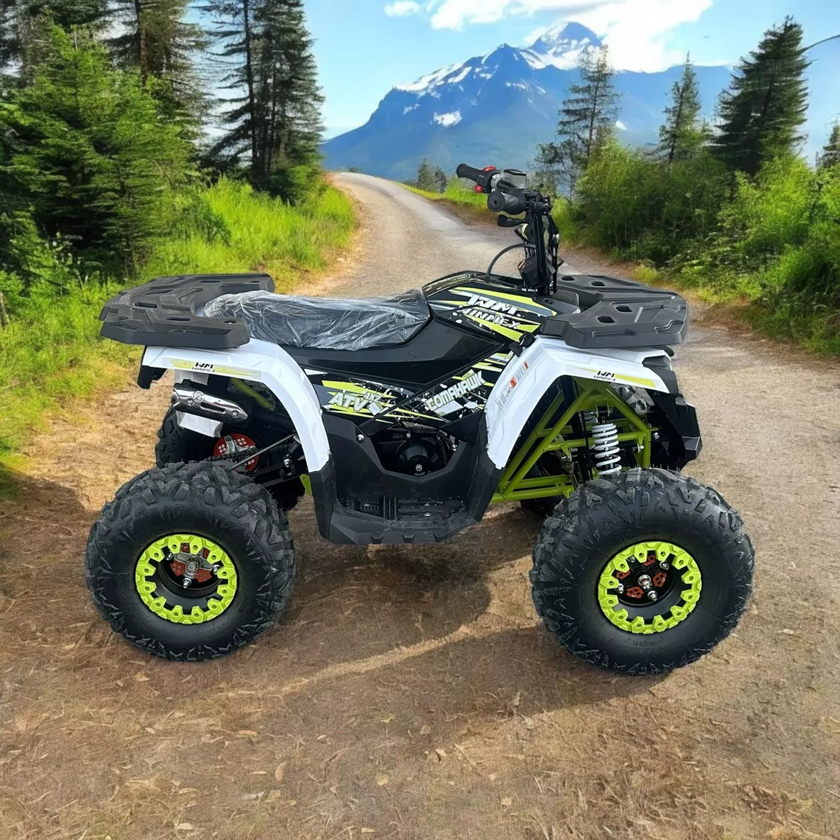 Mini Cuatrimoto Atv Niños Montable 125cc Moto Gasolina 65kmh