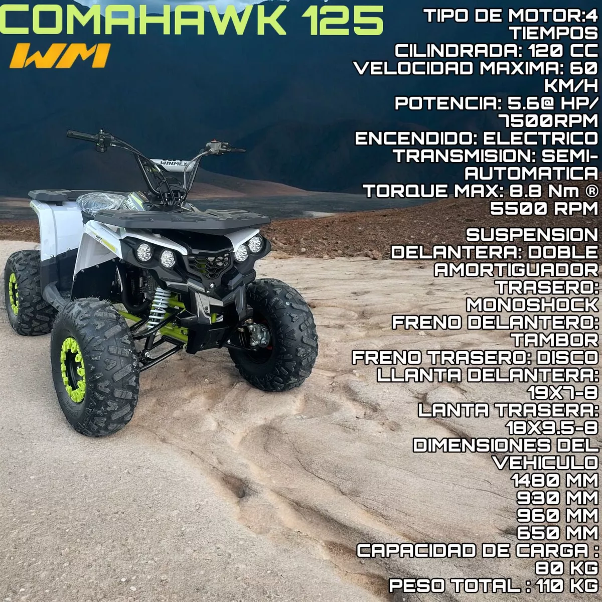 Mini Cuatrimoto Atv Niños Montable 125cc Moto Gasolina 65kmh