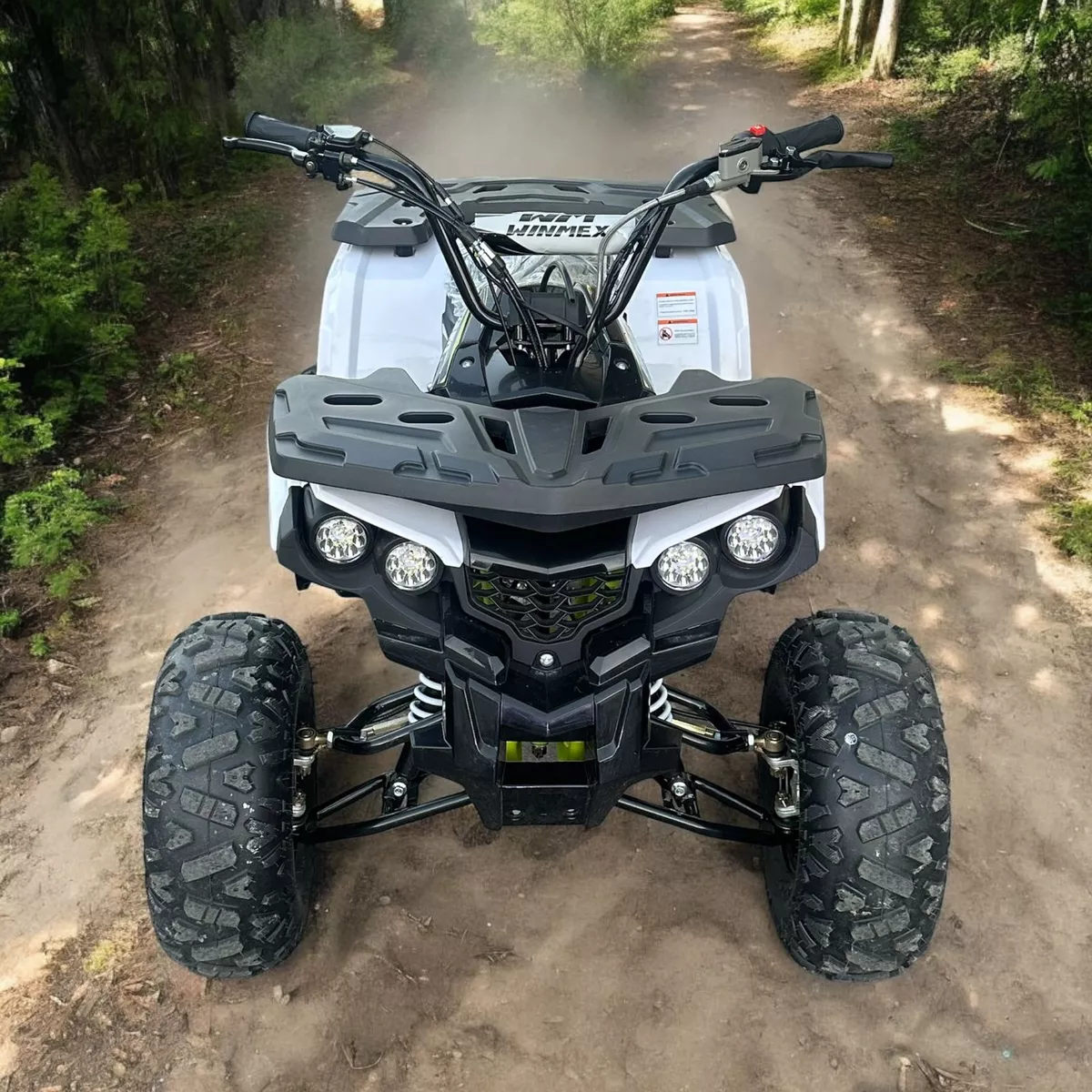 Mini Cuatrimoto Atv Niños Montable 125cc Moto Gasolina 65kmh