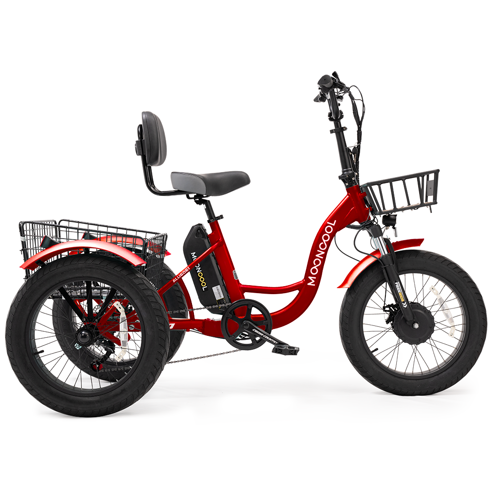 TK1 Fat Tire Electric Trike(RANDOM color)