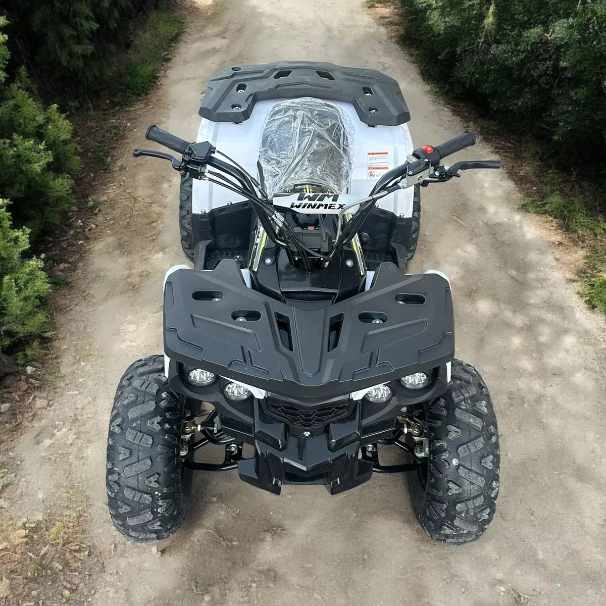 Mini Cuatrimoto Atv Niños Montable 125cc Moto Gasolina 65kmh