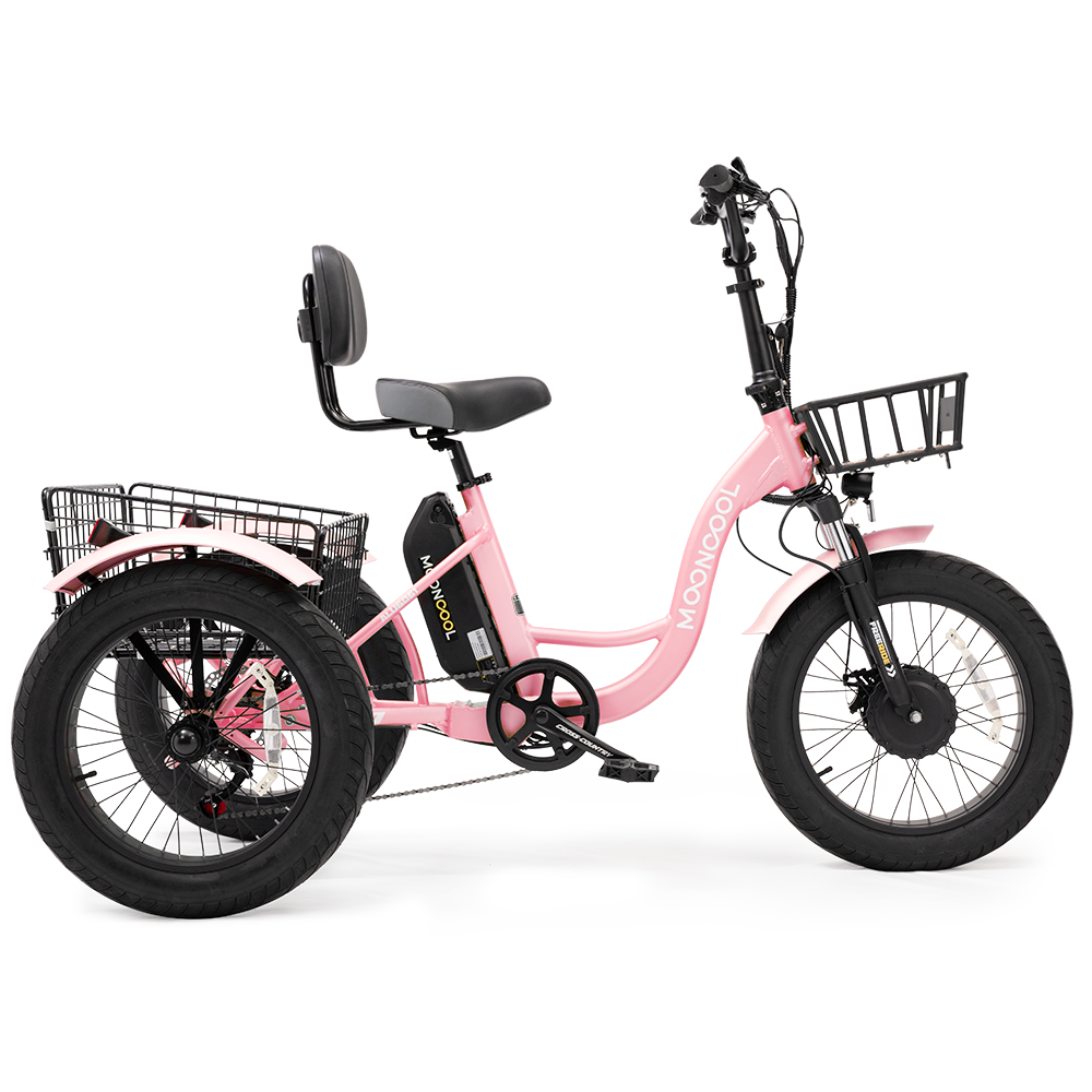 TK1 Fat Tire Electric Trike(RANDOM color)