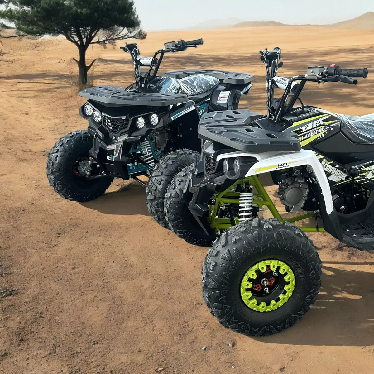 Mini Cuatrimoto Atv Niños Montable 125cc Moto Gasolina 65kmh