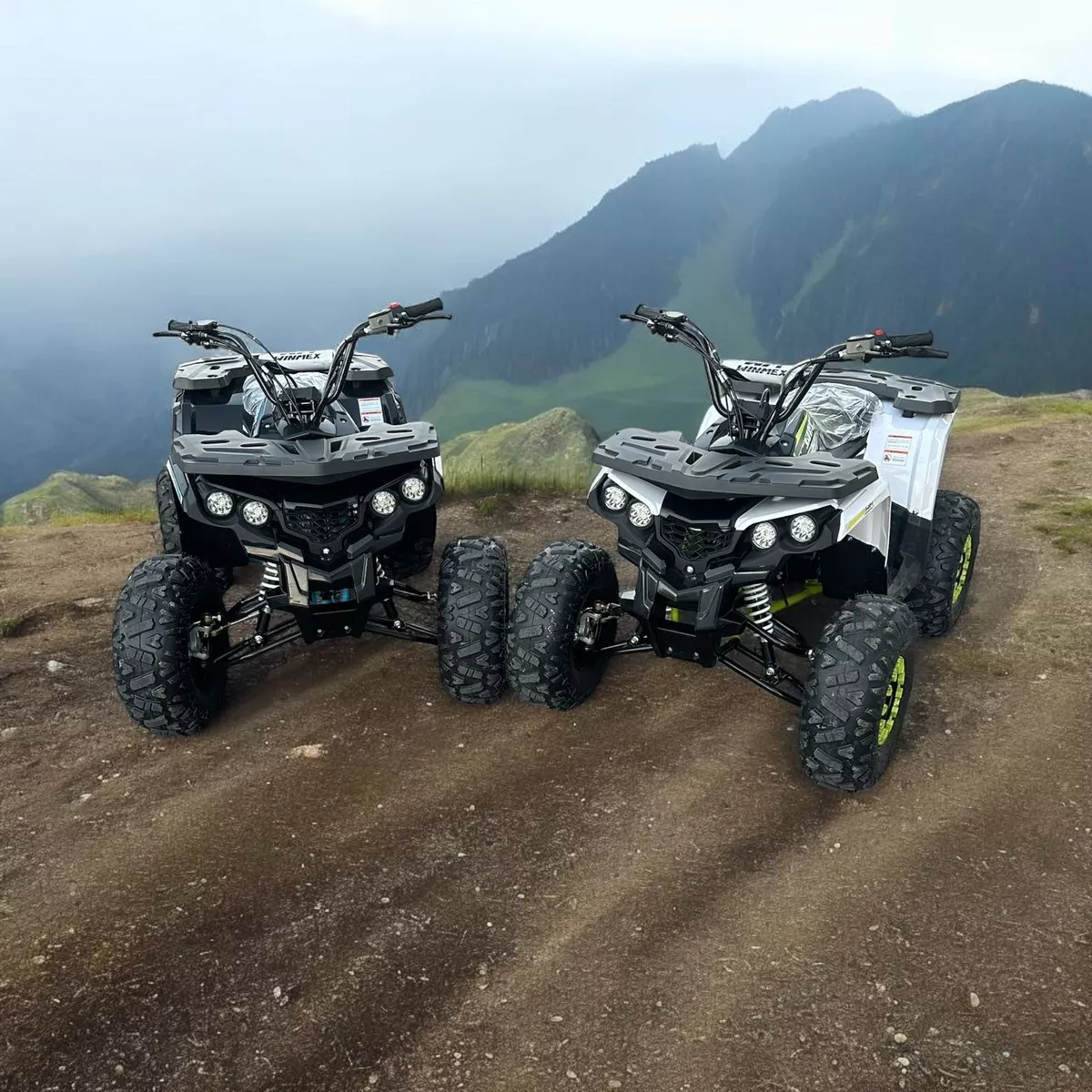 Mini Cuatrimoto Atv Niños Montable 125cc Moto Gasolina 65kmh